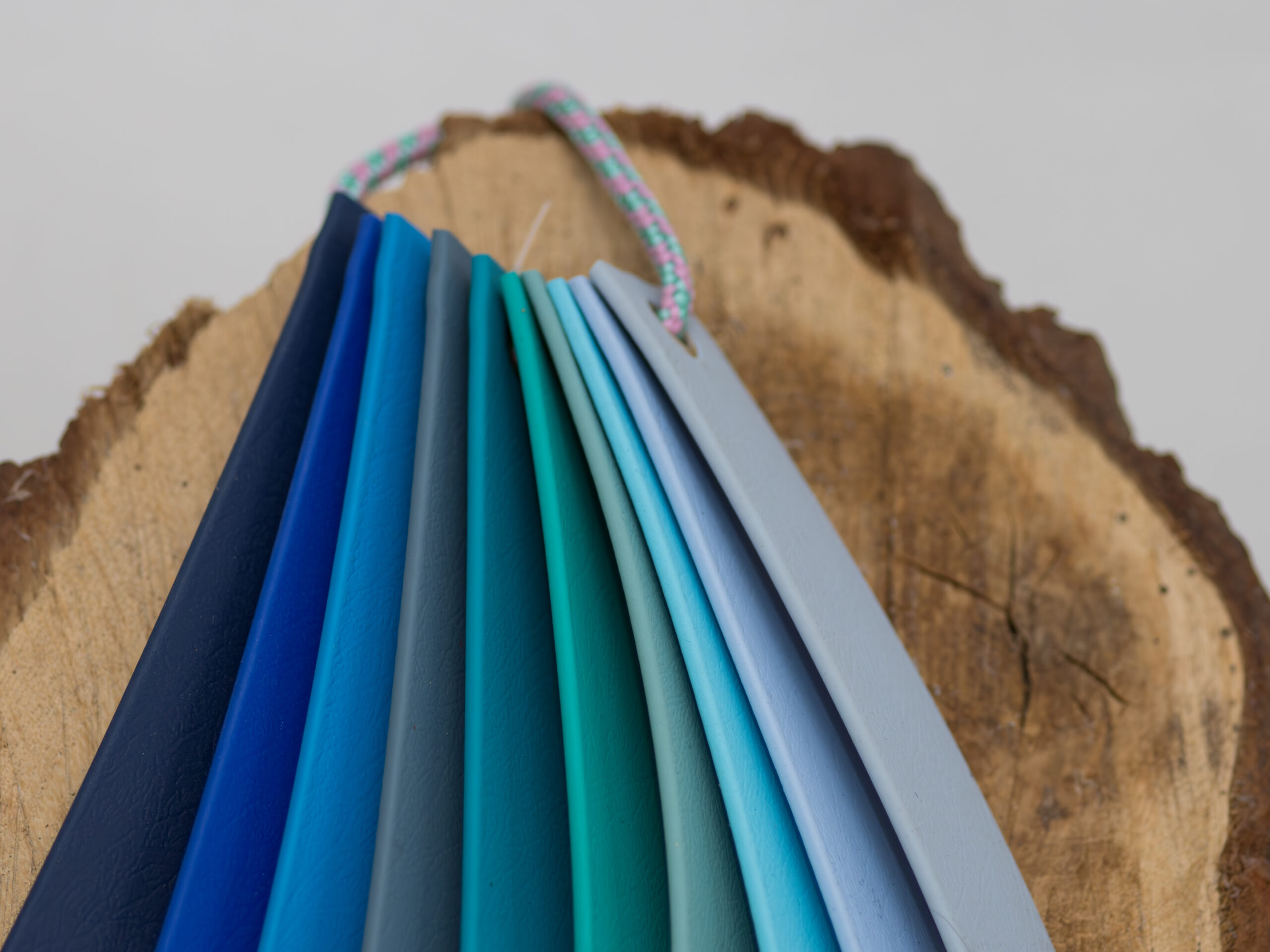 Biothane halsband - Afbeelding 2
